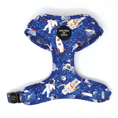 'Space Out' - Blue Starlight Space Pattern Dog Collar