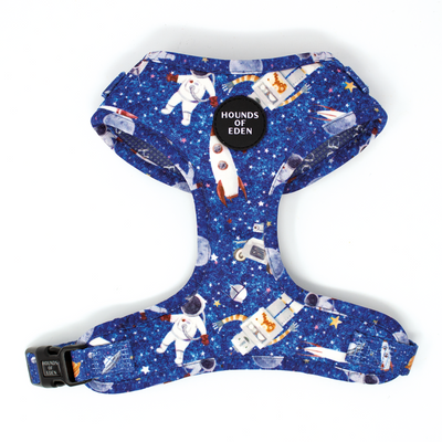 'Space Out' - Starlight Blue Space Pattern Dog Harness