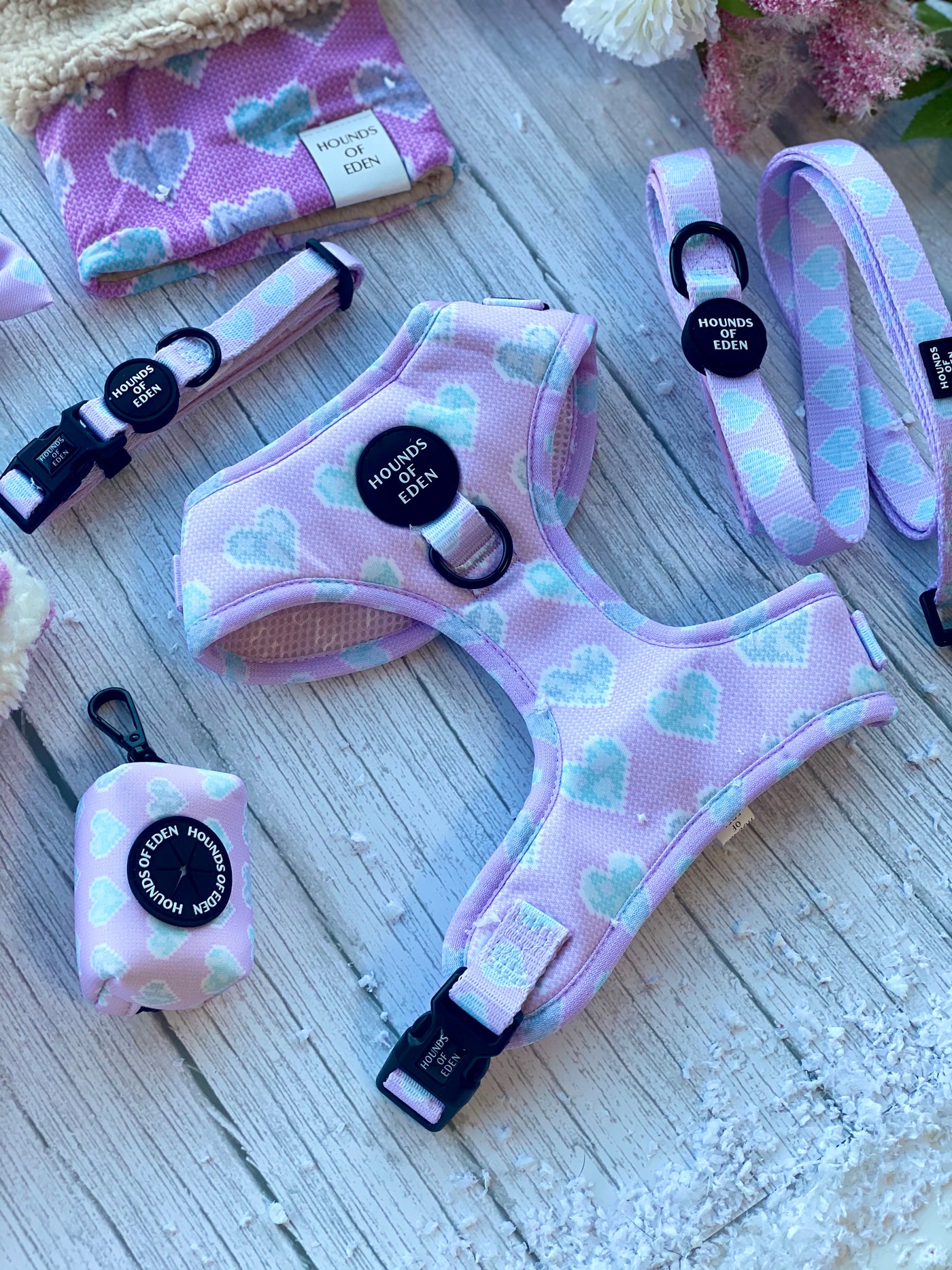 Don’t Go Barking My Heart - Pink and Teal Hearts Dog Collar