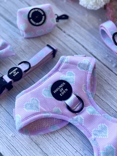 Don’t Go Barking My Heart - Pink and Teal Hearts Dog Collar