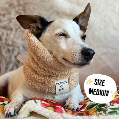 Steel Leopard Dog Snood