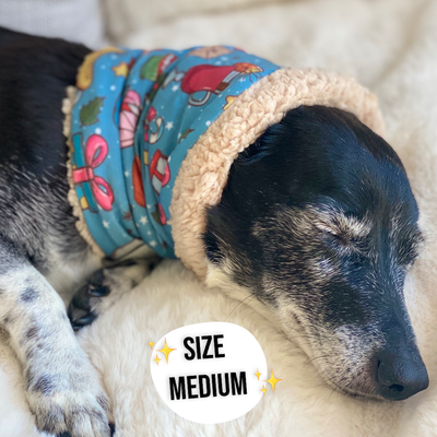Teddy it's Cold Outside Dog Snood