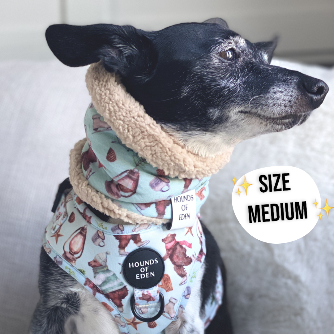 Teddy it's Cold Outside Dog Snood