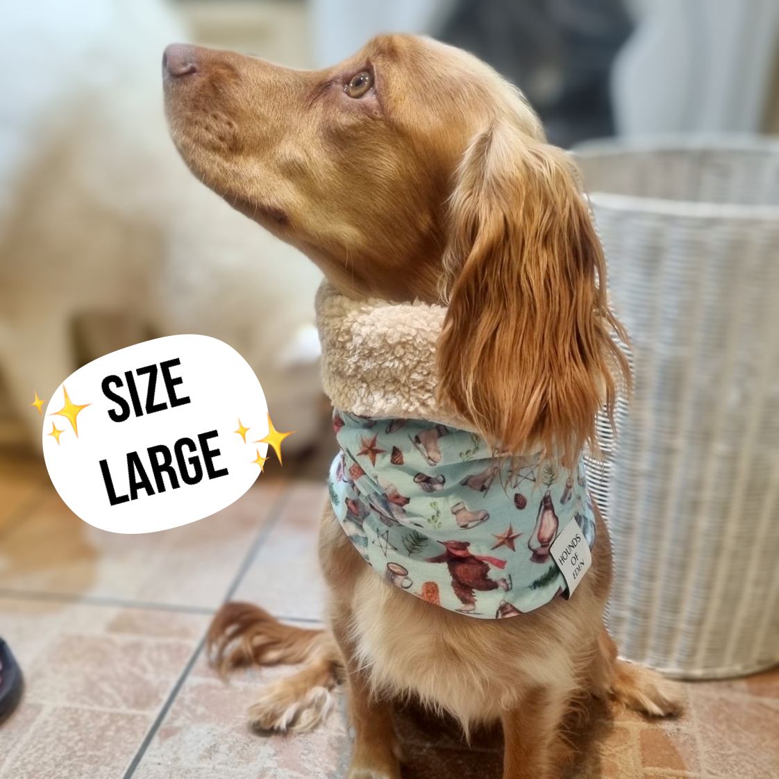 Teddy it's Cold Outside Dog Snood