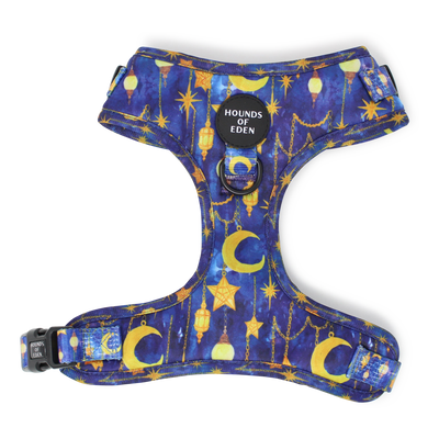Arabian Nights - Blue and Gold Dog Collar