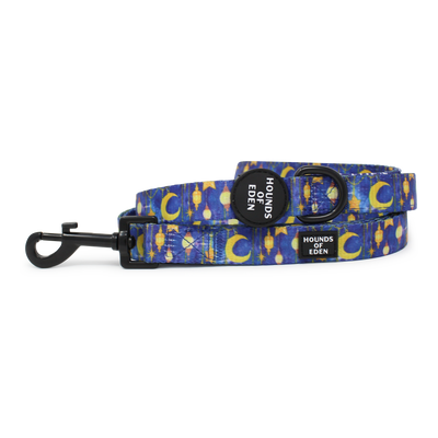Arabian Nights - Blue and Gold Dog Harness