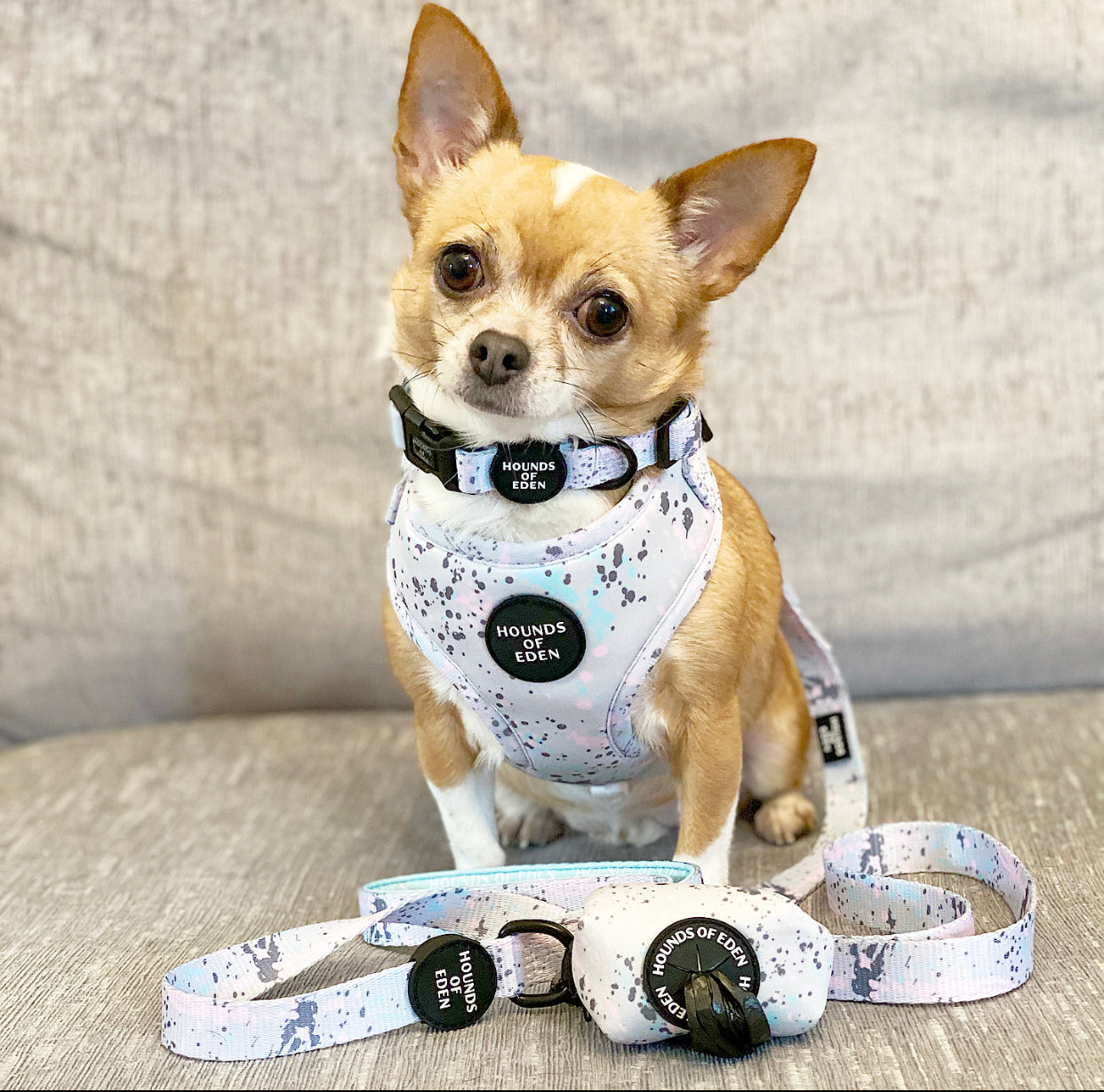 'Pastel Pawcasso'- Dog Harness