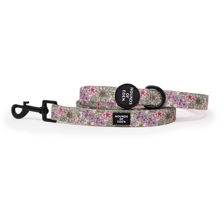 Wild Blossom - Design Dog Collar