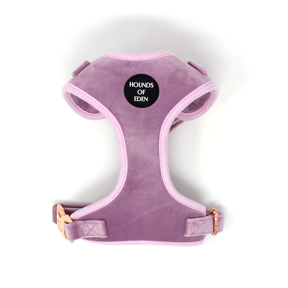 Lilac Dreams - Lilac Velvet Dog Harness with Rose Gold Metal Hardware