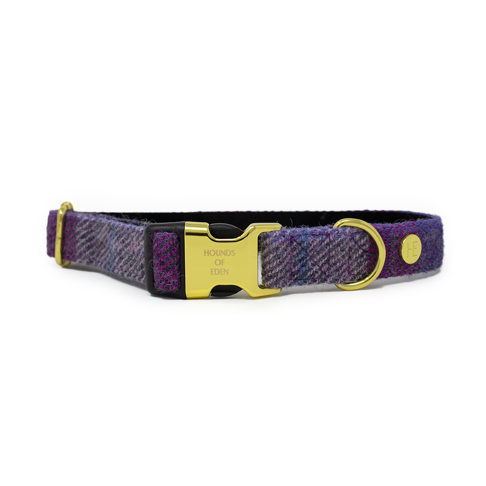 'Molly' Harris Tweed Dog Collar