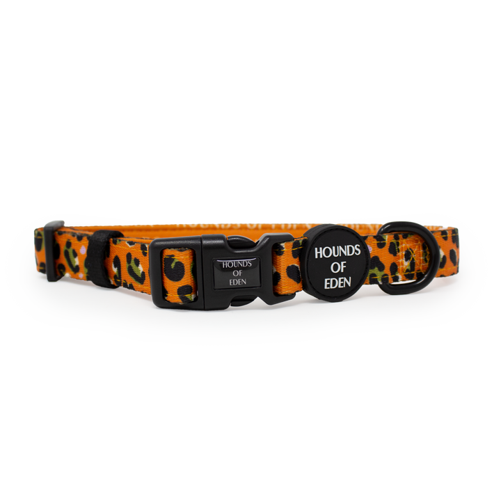 Burnt Orange Leopard Design Dog Collar