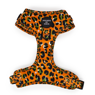 Burnt Orange Leopard Design Dog Collar