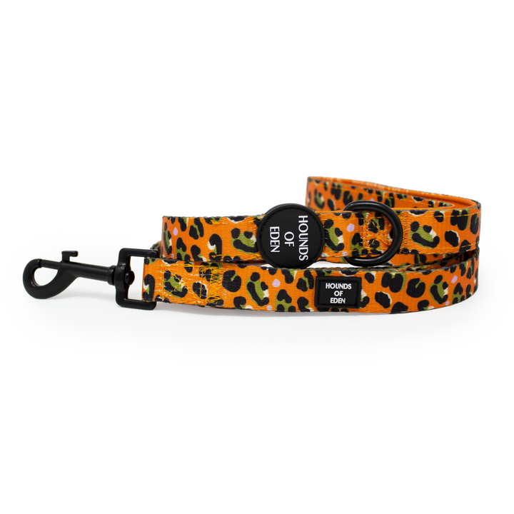 Burnt Orange Leopard Design Dog Lead