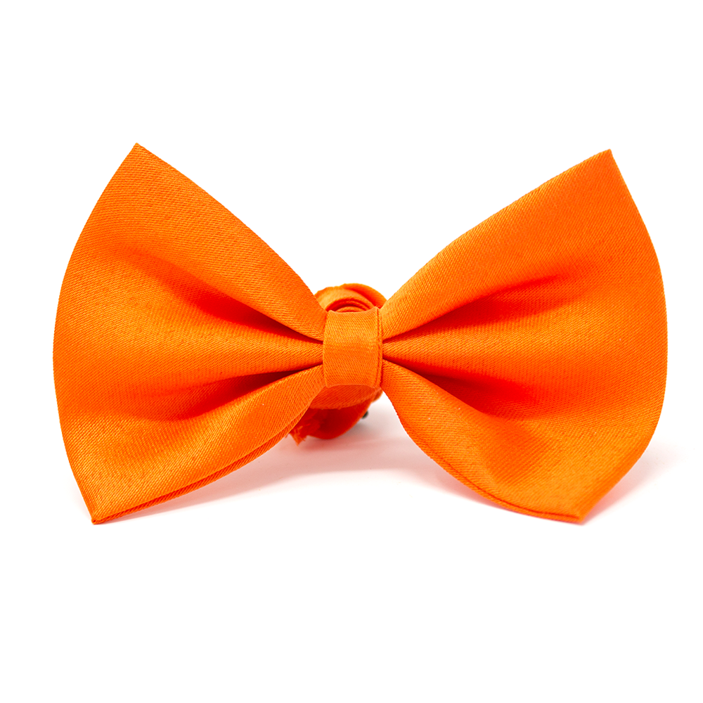 Orange Satin Dog Bow Tie