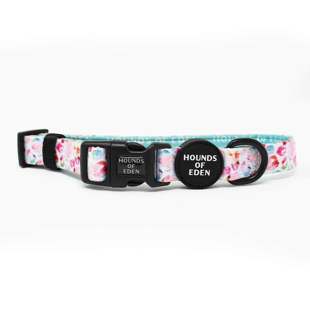 Jewel Leopard -  Leopard Dog Harness