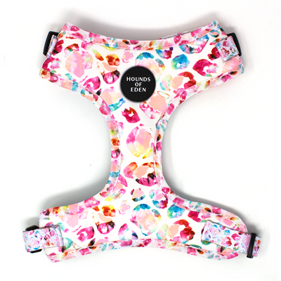 Jewel Leopard - Leopard Dog Collar