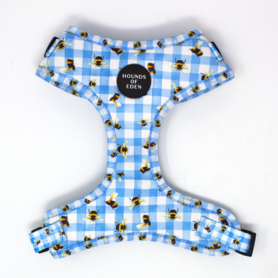 Bee You-tiful - Blue Gingham with Bees Dog Collar