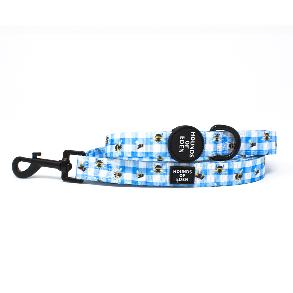 Bee You-tiful - Blue Gingham with Bees Dog Collar