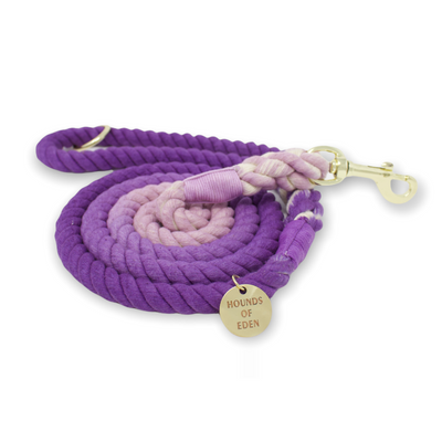 Molly - Purple Ombre Rope Lead