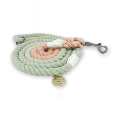 Teddy - Mint & Light Brown Ombre Rope Lead