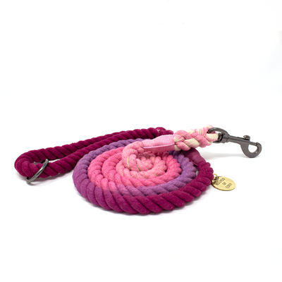 Ombre Magenta, Purple & Pink Cotton Rope Dog Lead