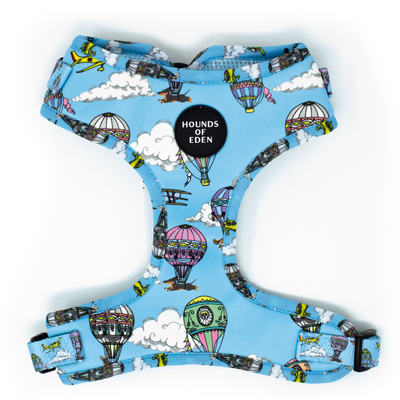 'Up, Pupilot up!' - Hot air Balloon + Plane Dog Harness