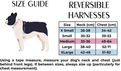 'Whale of a Time' - Sea Themed Reversible Dog Harness