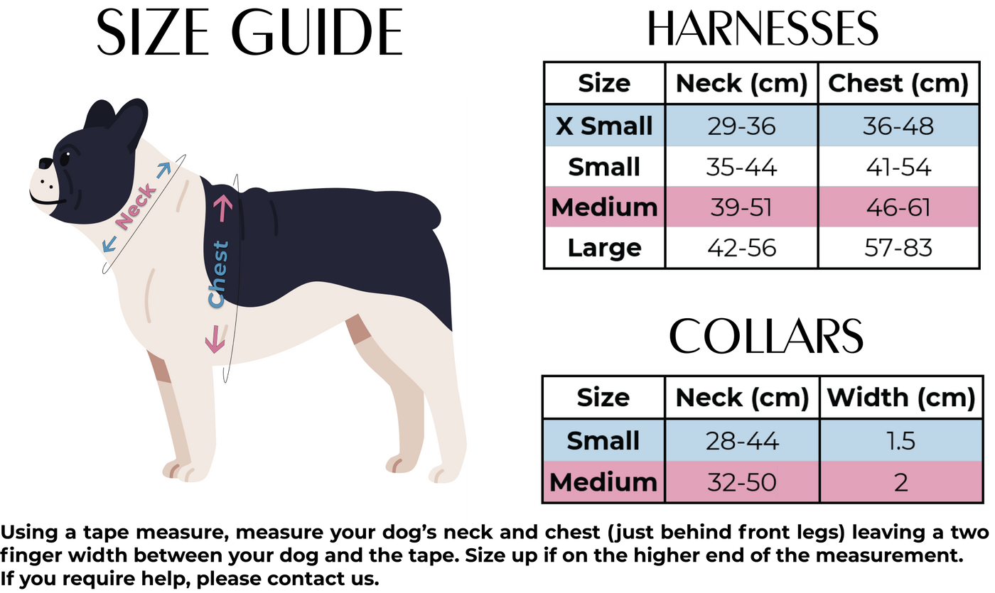 'Molly' - Pink & Purple Check Dog Harness