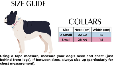 Sizzlin’ Sausages - Dachshund Dog Collar