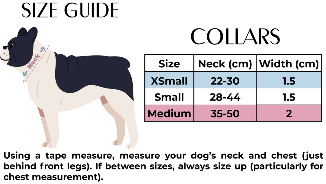 Autumn Blossom - Floral Poppy Dog Collar