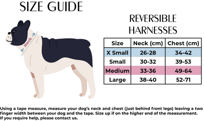 The Foxy Nutcracker - Christmas 'Jumper' Reversible Dog Harness