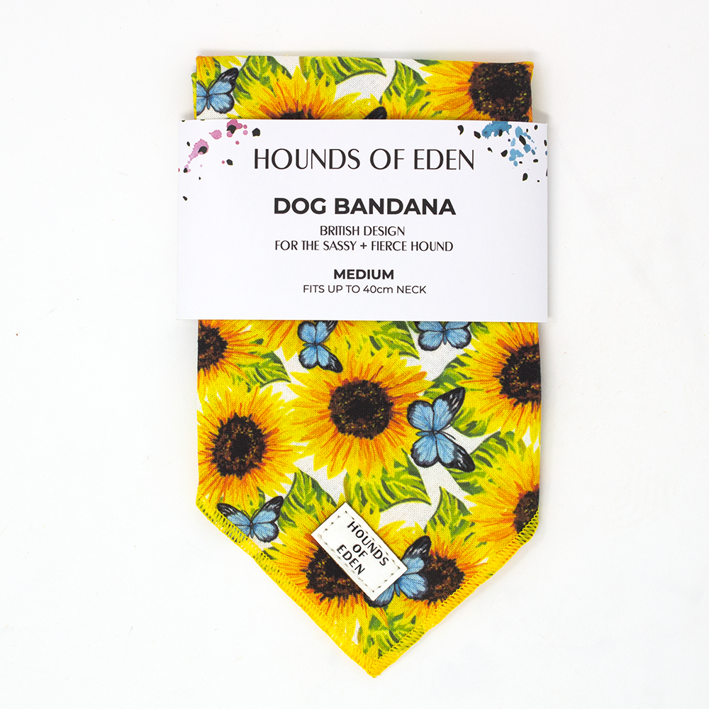Sunflower Flutter - Yellow and Blue Butterfly Dog Collar