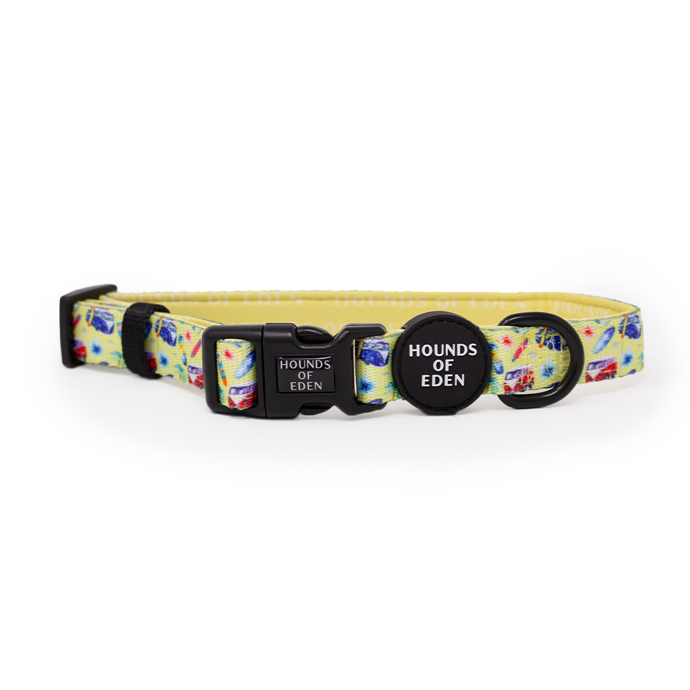 Surf's Up!- Dog Harness