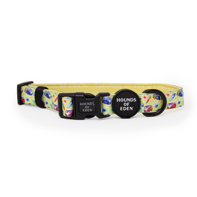 Surf's Up!- Dog Harness