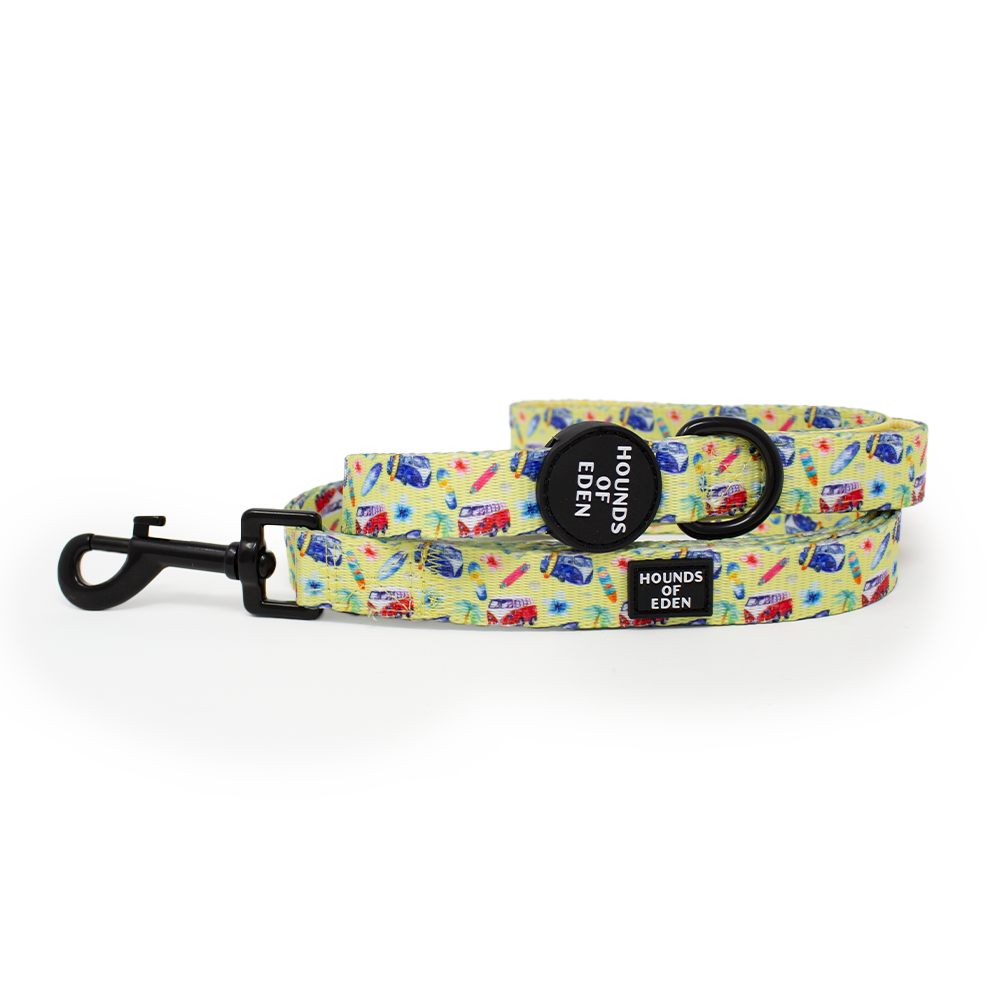Surf's Up! - Dog Lead