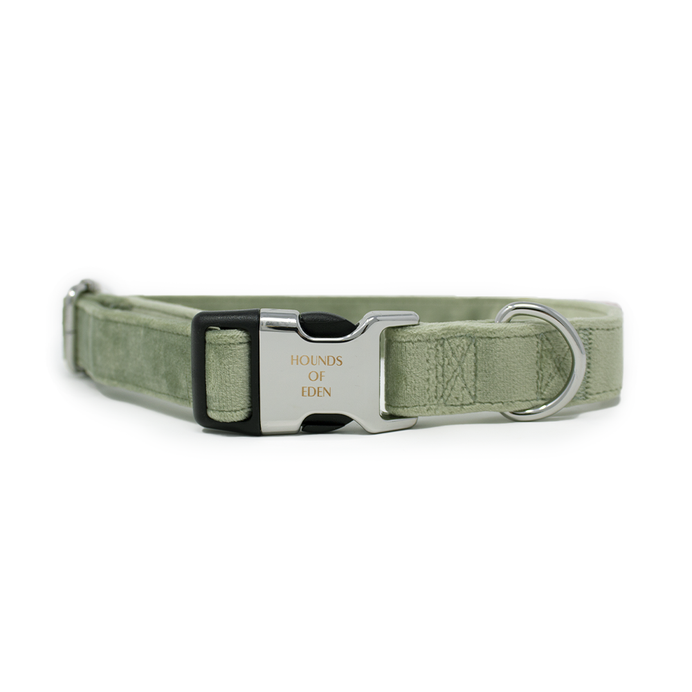 Sage Mist - Green Velvet Dog Collar with Silver Metal Hardware