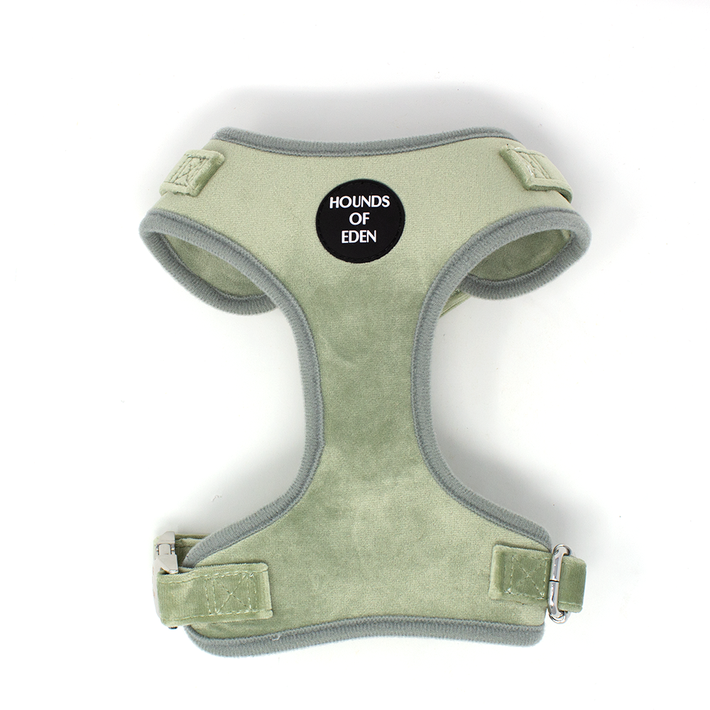 Sage Mist - Green Velvet Dog Harness with Silver Metal Hardware