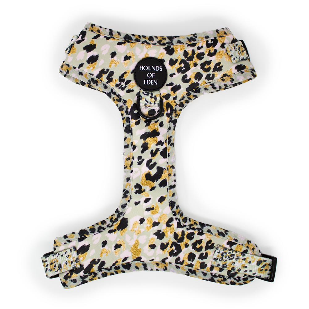 Sage Leopard Design Dog Harness