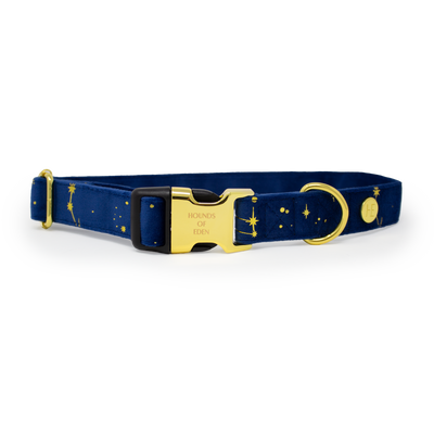 Sapphire Stars Velvet Harness