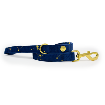 Sapphire Stars Velvet Harness