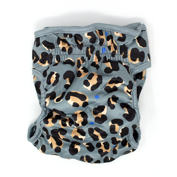 'Steel Leopard' - Dog Season Hygiene Panties