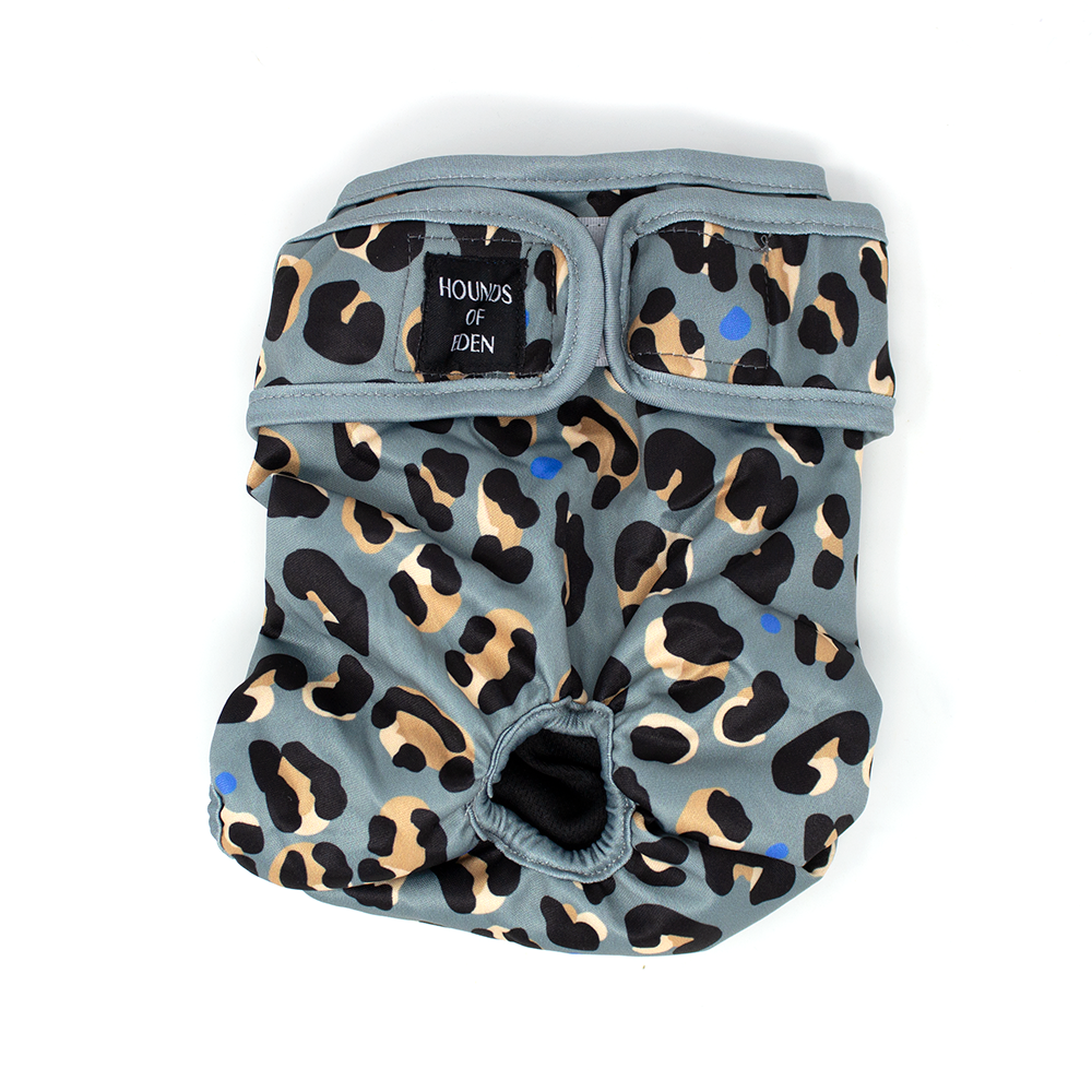 'Steel Leopard' - Dog Season Hygiene Panties