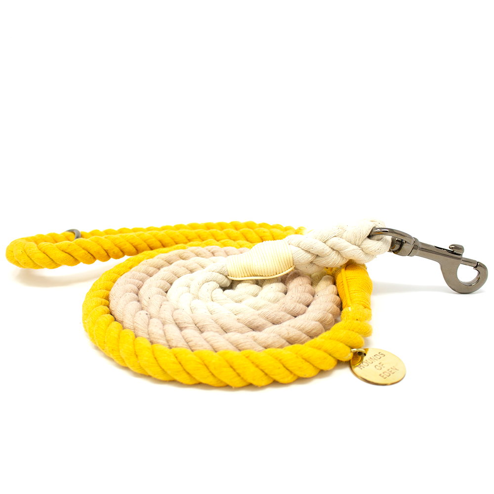 Ombre Honey Yellow Cotton Rope Lead