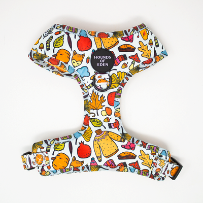 Country Pupkin - Autumnal Doodle Dog Harness