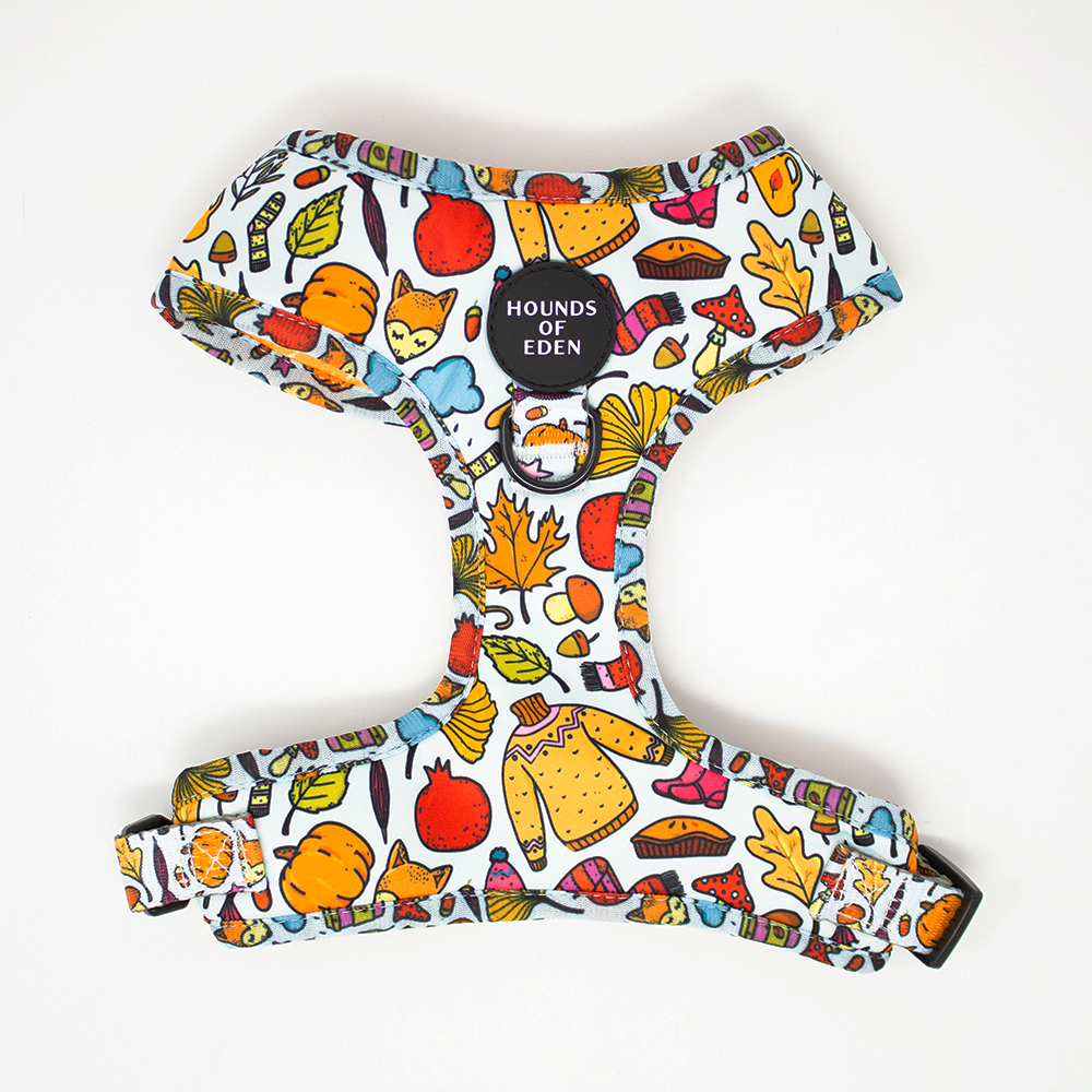 Country Pupkin - Autumnal Doodle Dog Harness