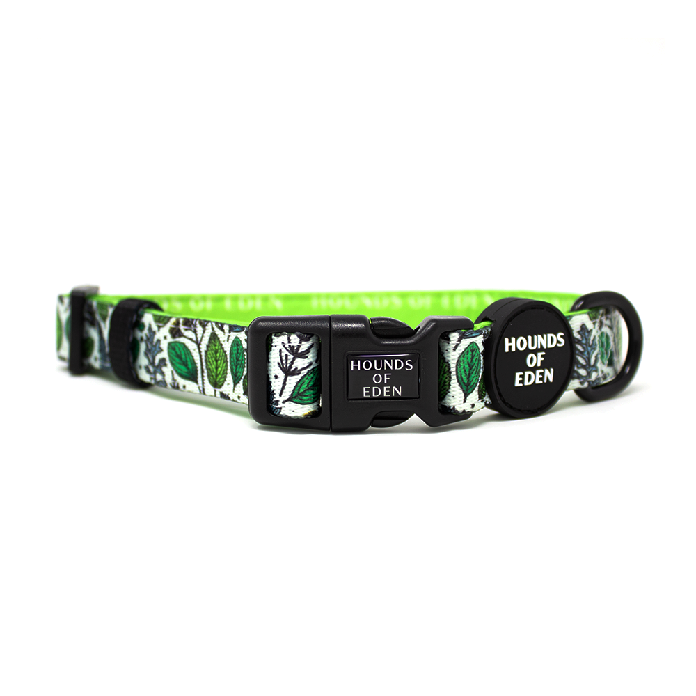 Ferntastic - Green Botanical Dog Collar