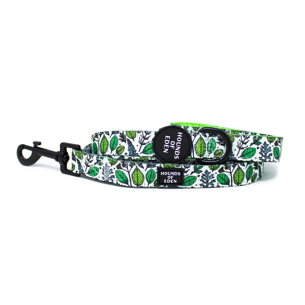 Ferntastic - Green Botanical Dog Lead