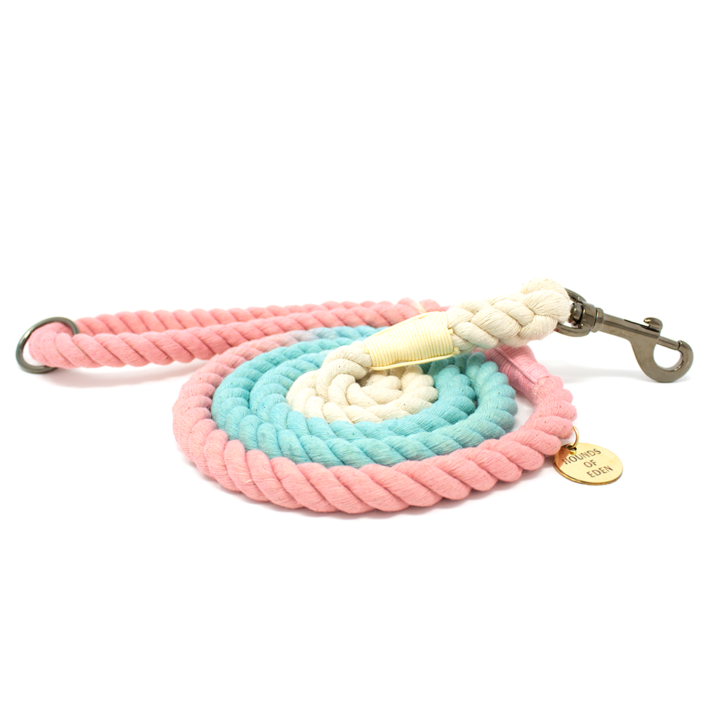 Ombre Pastel Pink + Teal Cotton Rope Lead