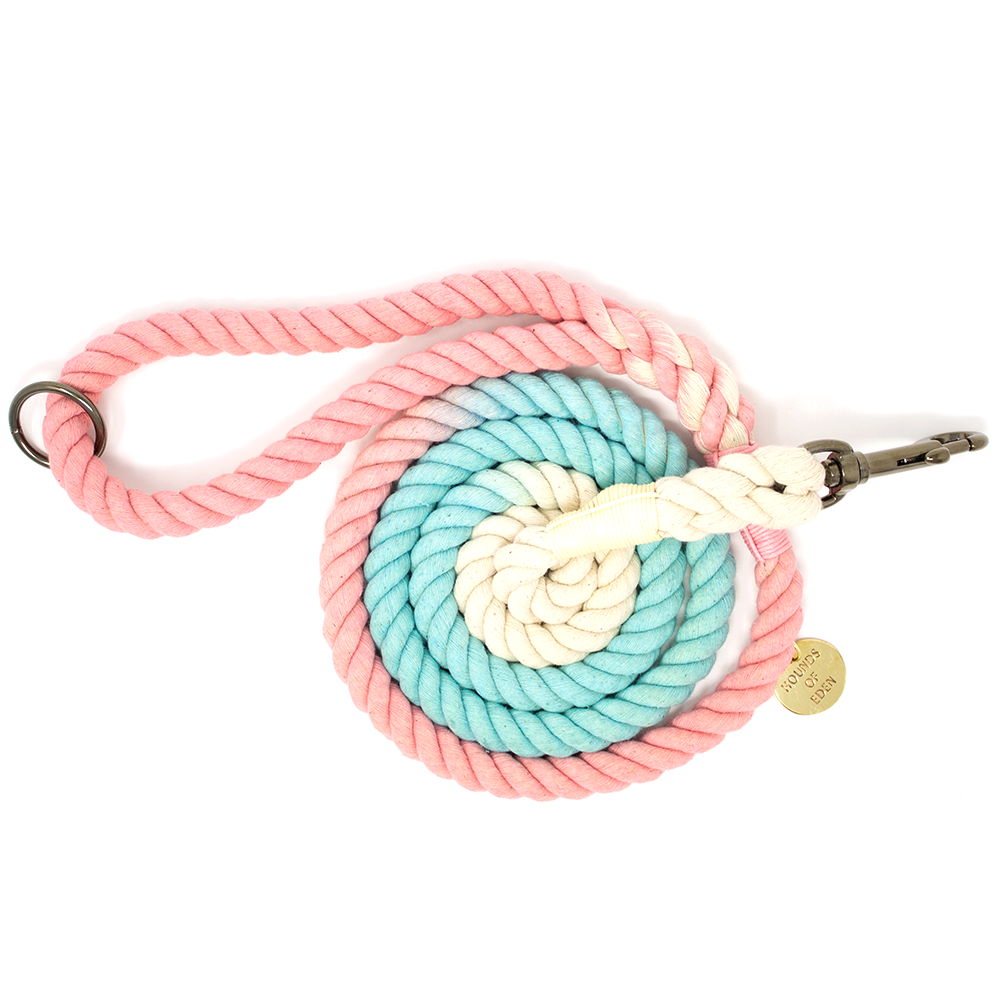 Ombre Pastel Pink + Teal Cotton Rope Lead