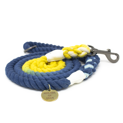 Arabian Nights - Blue & Yellow Ombre Rope Lead